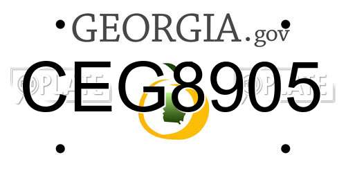 CEG8905 Georgia License Plate
