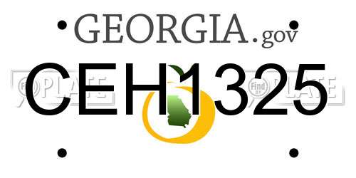 CEH1325 Georgia License Plate