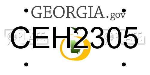 CEH2305 Georgia License Plate