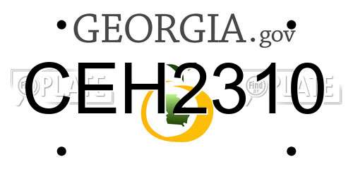 CEH2310 Georgia License Plate