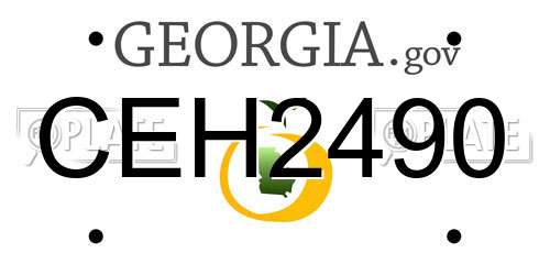 CEH2490 Georgia License Plate