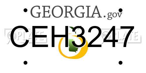 CEH3247 Georgia License Plate