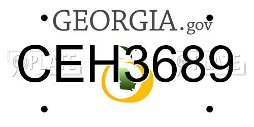 CEH3689 Georgia License Plate