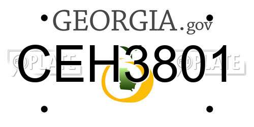 CEH3801 Georgia License Plate