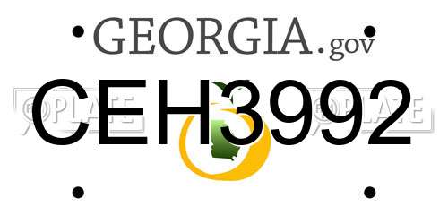 CEH3992 Georgia License Plate