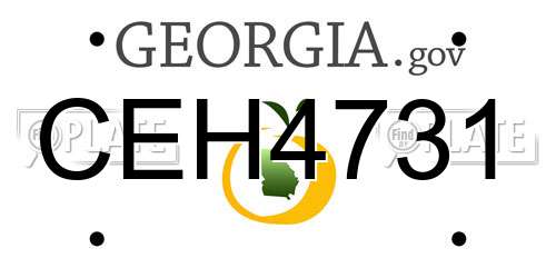 CEH4731 Georgia License Plate