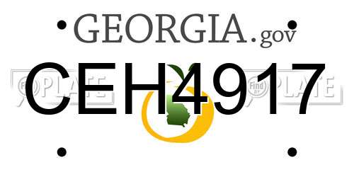 CEH4917 Georgia License Plate