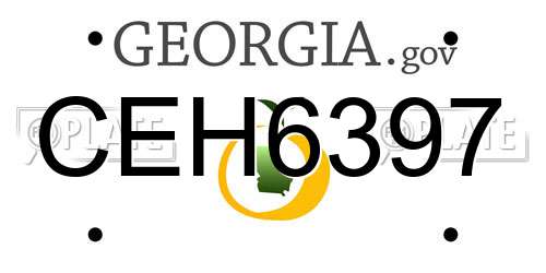CEH6397 Georgia License Plate