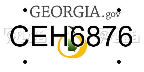 CEH6876 Georgia License Plate