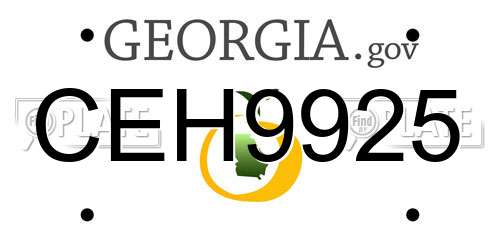 CEH9925 Georgia License Plate