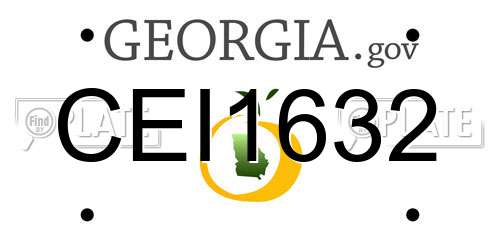 CEI1632 Georgia License Plate