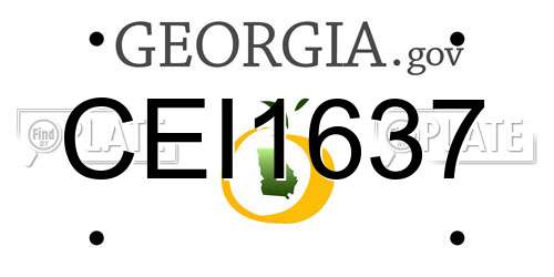 CEI1637 Georgia License Plate