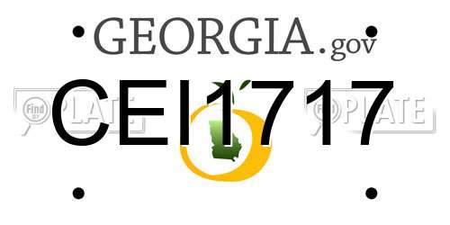 CEI1717 Georgia License Plate