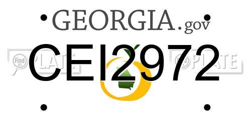 CEI2972 Georgia License Plate