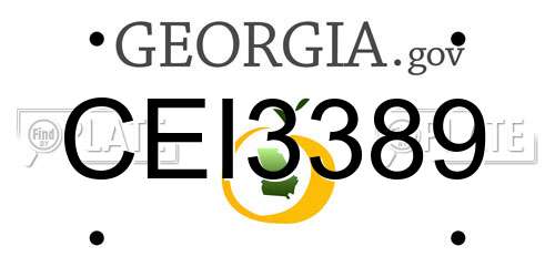 CEI3389 Georgia License Plate
