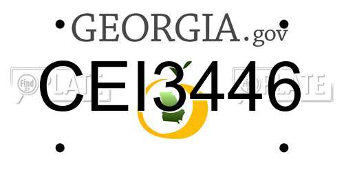CEI3446 Georgia License Plate