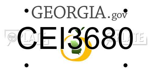 CEI3680 Georgia License Plate