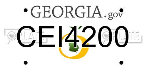 CEI4200 Georgia License Plate