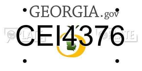 CEI4376 Georgia License Plate