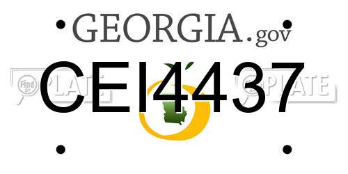 CEI4437 Georgia License Plate