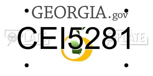 CEI5281 Georgia License Plate