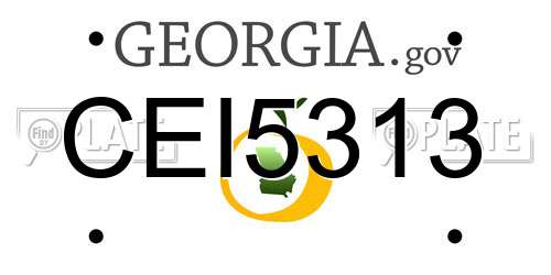 CEI5313 Georgia License Plate