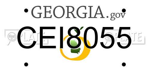 CEI8055 Georgia License Plate