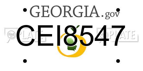 CEI8547 Georgia License Plate