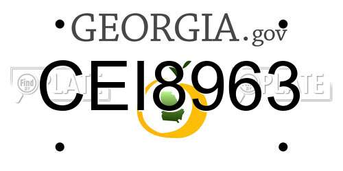 CEI8963 Georgia License Plate