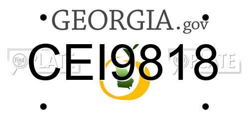 CEI9818 Georgia License Plate