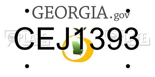 CEJ1393 Georgia License Plate