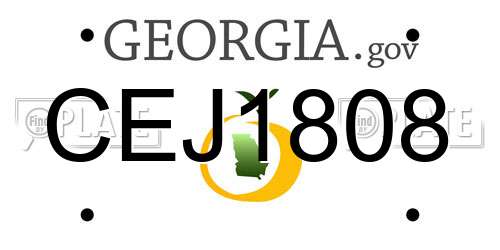 CEJ1808 Georgia License Plate