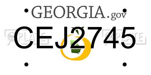 CEJ2745 Georgia License Plate