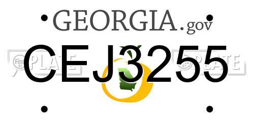 CEJ3255 Georgia License Plate