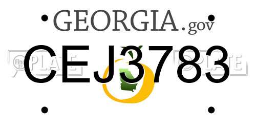 CEJ3783 Georgia License Plate