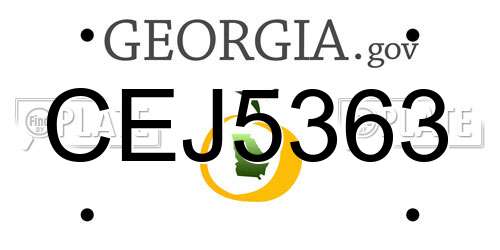 CEJ5363 Georgia License Plate