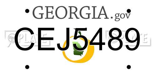 CEJ5489 Georgia License Plate