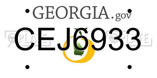 CEJ6933 Georgia License Plate