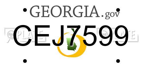 CEJ7599 Georgia License Plate