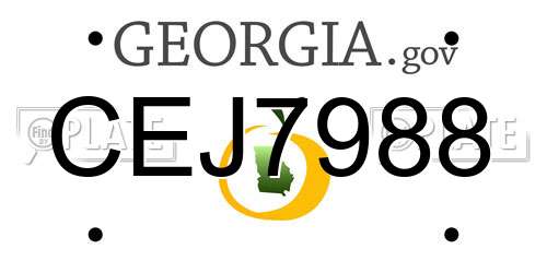 CEJ7988 Georgia License Plate