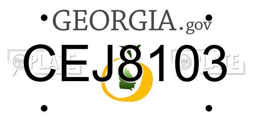 CEJ8103 Georgia License Plate