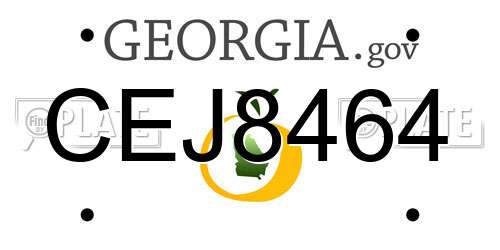 CEJ8464 Georgia License Plate