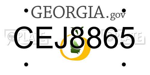 CEJ8865 Georgia License Plate