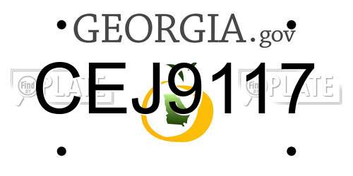 CEJ9117 Georgia License Plate
