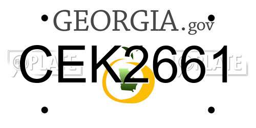 CEK2661 Georgia License Plate