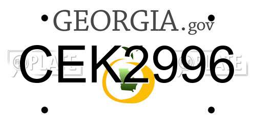 CEK2996 Georgia License Plate