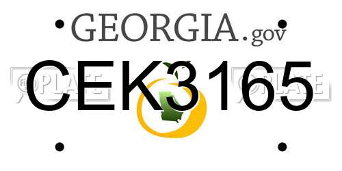 CEK3165 Georgia License Plate