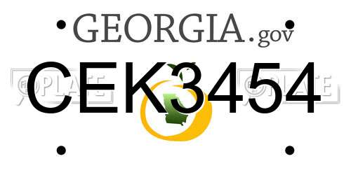 CEK3454 Georgia License Plate