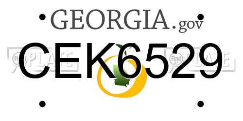 CEK6529 Georgia License Plate