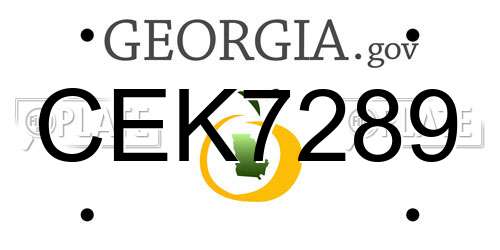 CEK7289 Georgia License Plate